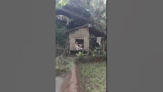 Download lagu Hetty Koes Endang - Anugerah