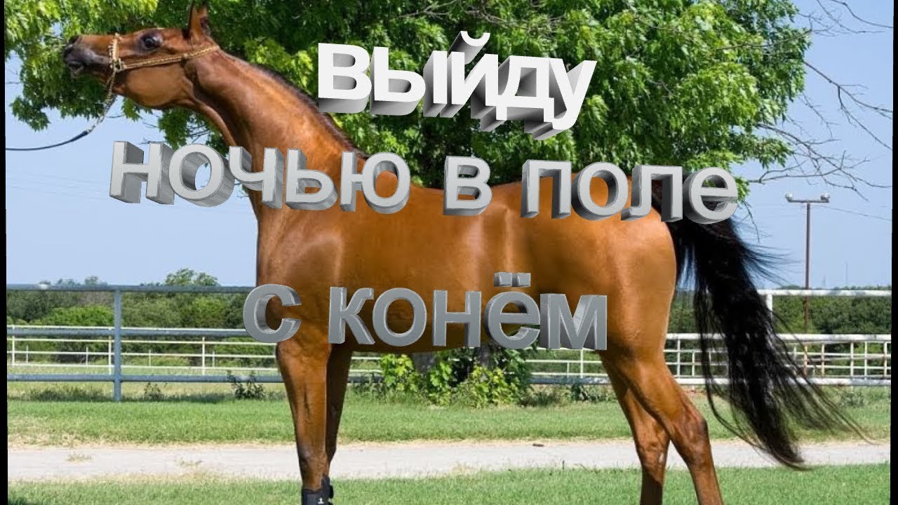 Выйду ночью в поле с конём - YouTube