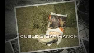 Double D Bar Ranch