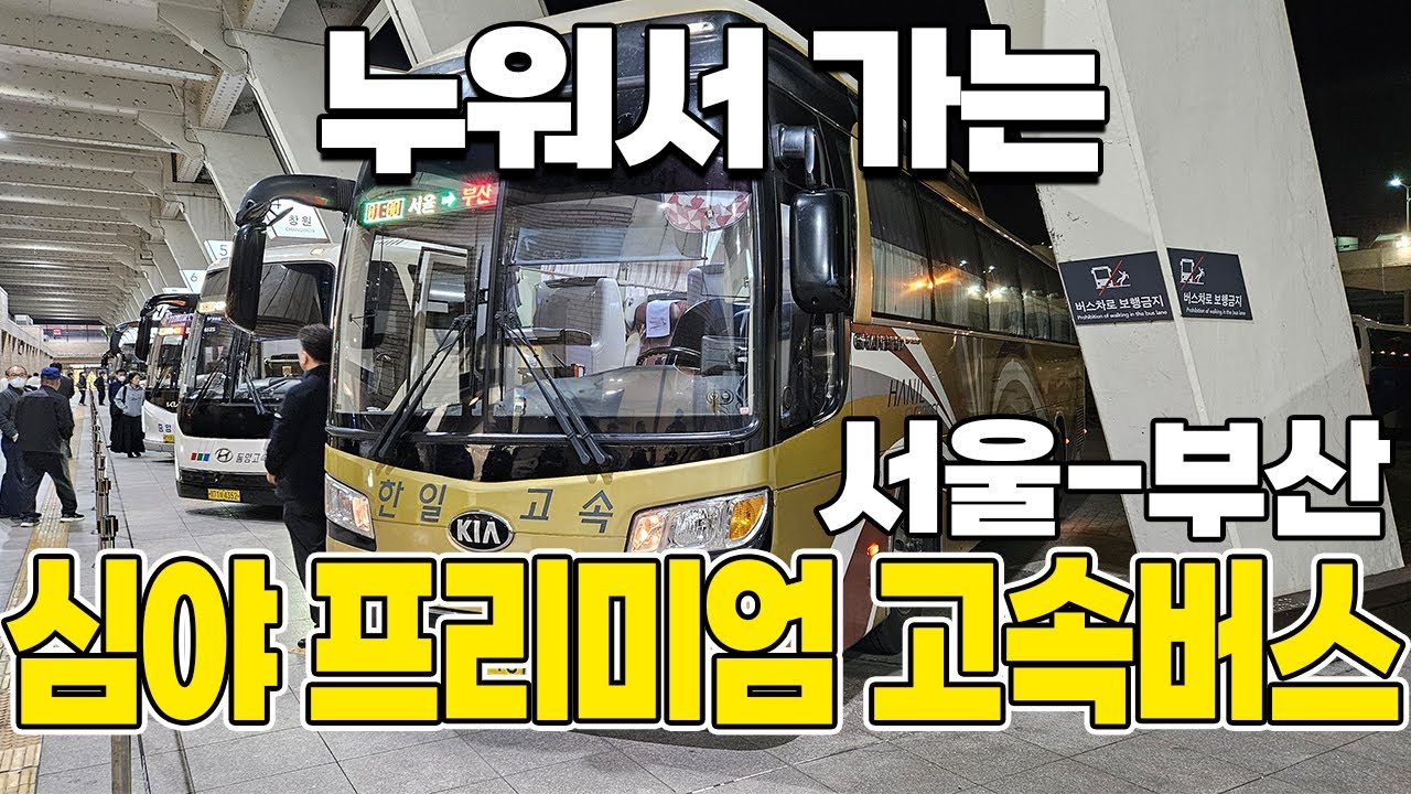 서울에서 부산까지 심야 프리미엄 고속버스 이용 솔직 후기🚌🇰🇷