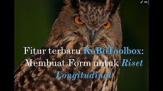 Fitur Terbaru KoBoToolbox: Form untuk Riset Longitudinal