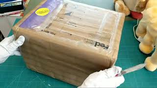 Portuguese Teddy Ruxpin Unboxing!!