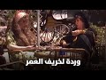 جان خليل شارة مسلسل وردة لخريف العمر