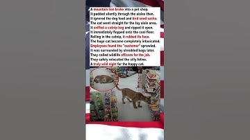 Mountain Lion Breaks In for a Catnip Binge😂 #Lion #Funny #Animal #Catnip #Wildlife #TrueStory #Humor