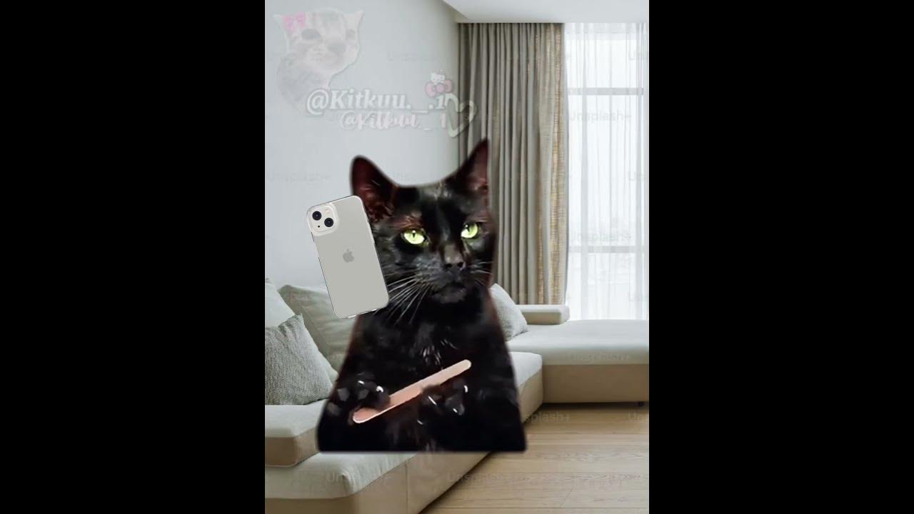 Jest jarek w domu? 😂 #cats #śmieszne#greenscreen #cat #trend#memes#funny#memy #catmeme