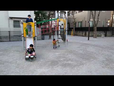 柏公園【さつきとかえで、たまにりょうた】