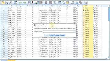 S01E04-1-6 SPSS Basics - Sorting