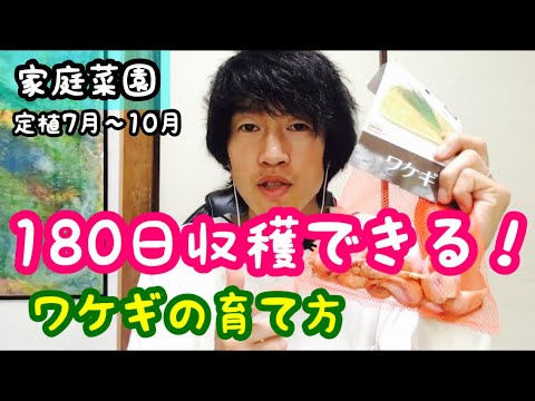 【おすすめ野菜】ワケギの育て方『家庭菜園で簡単なプランター栽培』