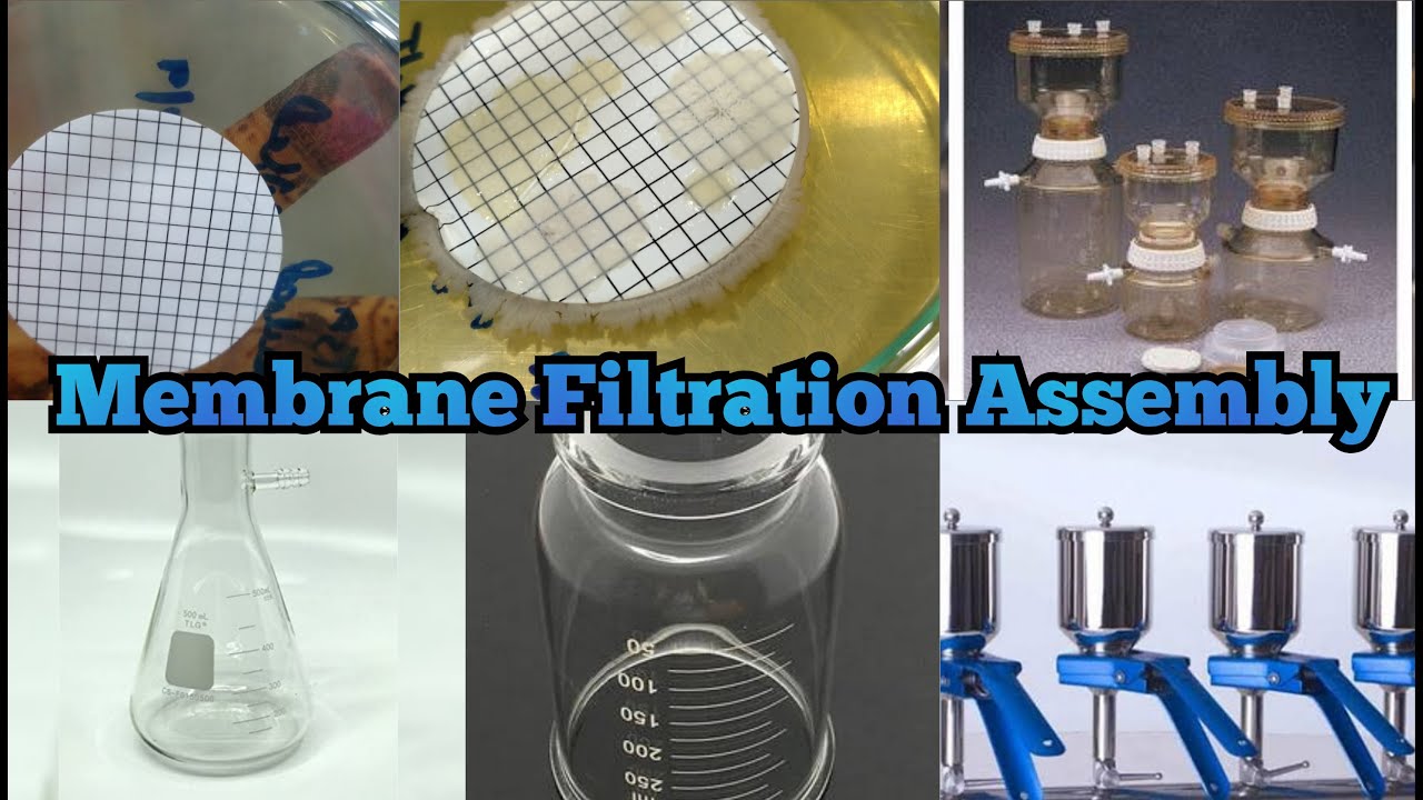 membrane filtration a problem solving approach with matlab