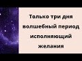 Только эти три дня волшебный период, исполняющий желания.