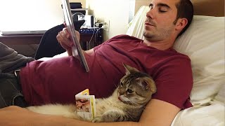 No Cat No Life 😸 Cute Cat and Human are Best friend