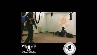 Ари Сирокко израильский эксперт по безопасности.КравМага. рукопашный бой.Самооборона. kapap/kravmaga