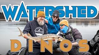 Epic Sturgeon Fishing On The Kennebecasis River Shortnose And Atlantic Dinosaurs In New Brunswick