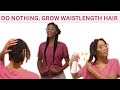 Do nothing grow waistlength hair literally  4c waistlength hair journey 4c growhair