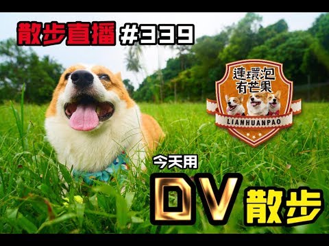 [散步直播]339_台南暴雨停班停課/今天用DV錄影散步
