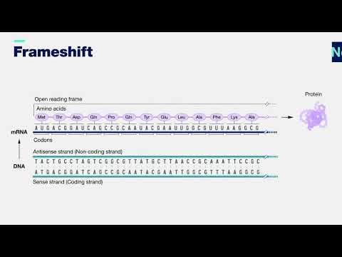 Video: Care este un chestionar privind mutația frameshift?