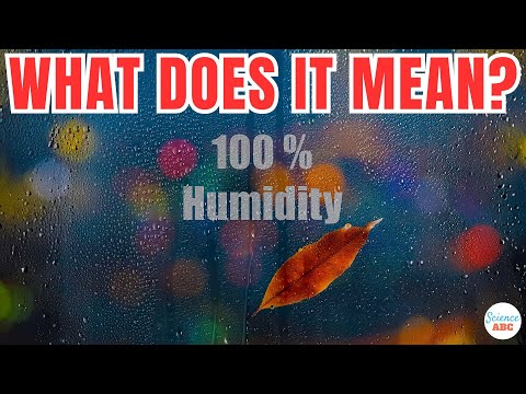 Video: Relativna vlažnost in absolutna vlažnost: značilnosti merjenja in definicije