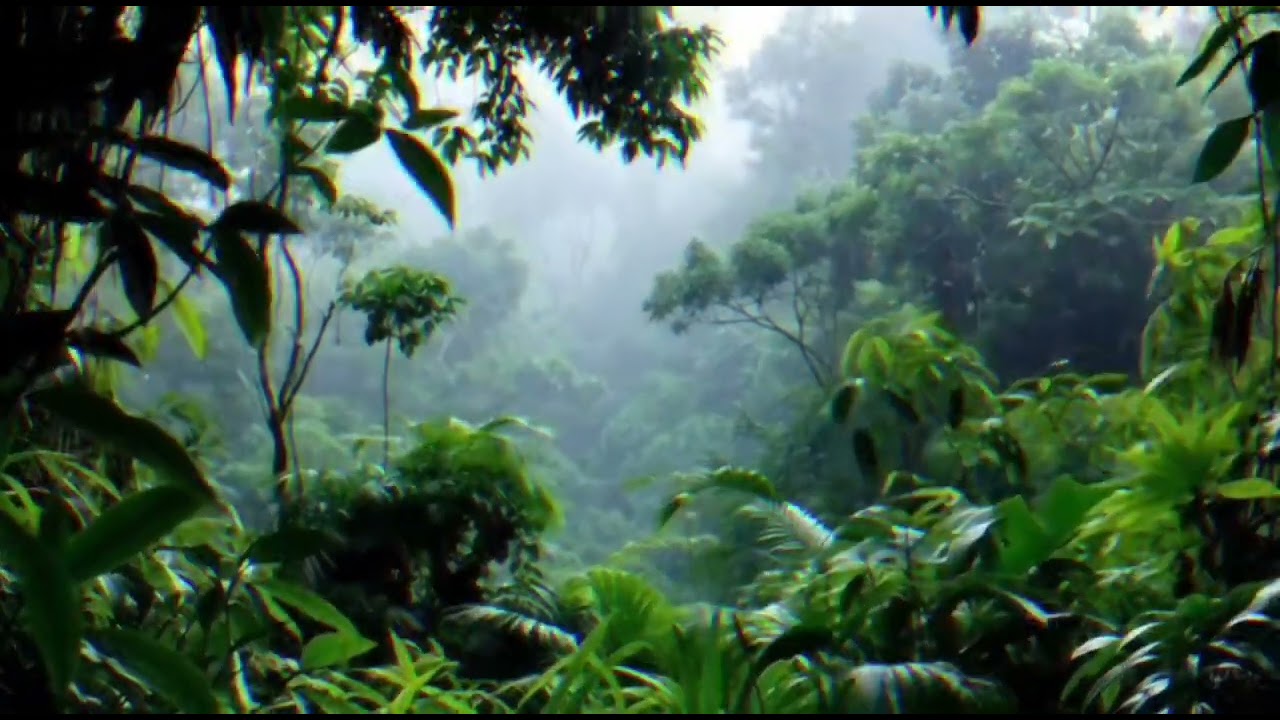 2 Hours Gentle Rain in Lush Jungle Rainforest with Birds Chirping | Relaxing Nature Sounds (HD)