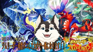 【ゲーム配信】ジムリーダーの腕前見てやろうじゃないか！！