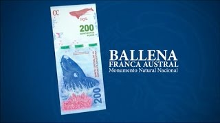 Se presentó en Chubut el nuevo billete de 200 pesos con la figura de la ballena franca austral
