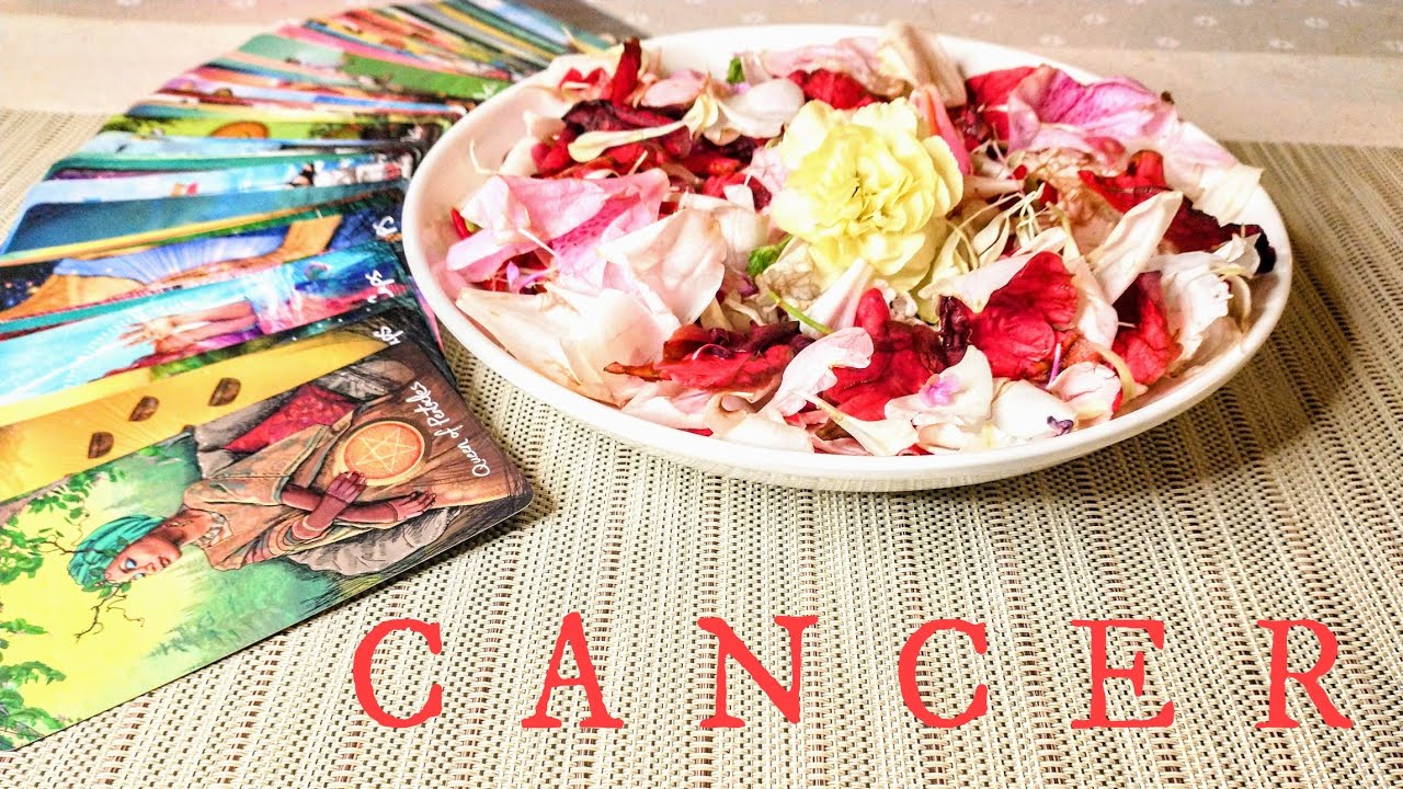 CANCER🌺Flower Reading🌺You'll be SMILING from EAR to EAR! DREAMS Coming ALIVE! 28th-6th March