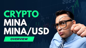 Unpacking MINA: The World