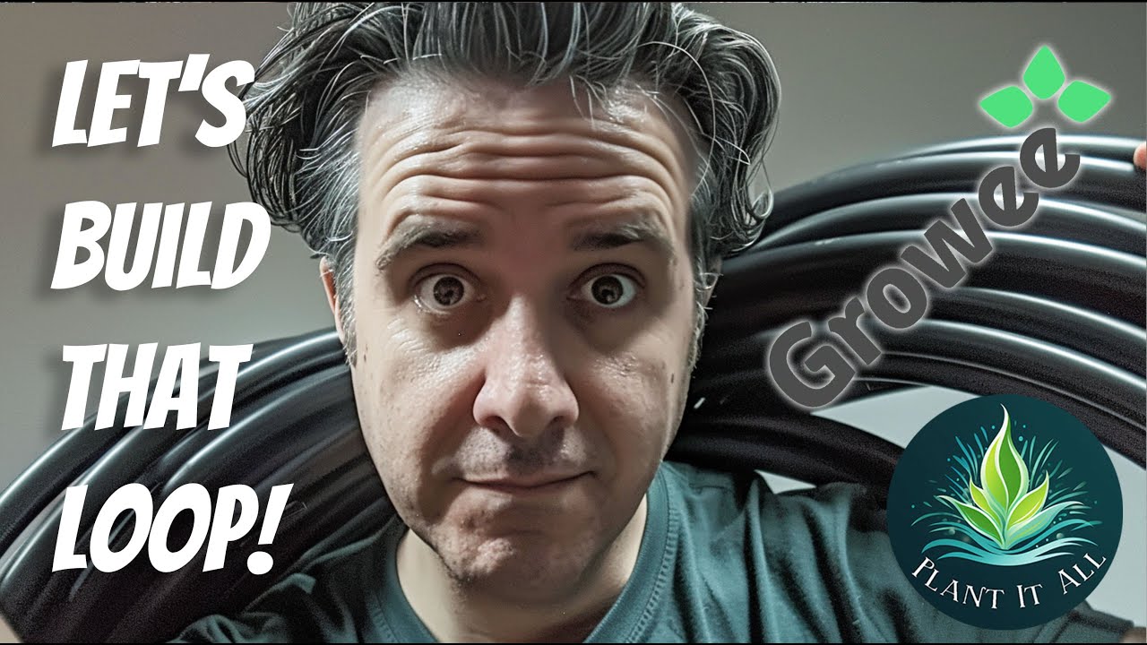 Growee Pro - Building The Feed Loop - Everything you want to know - E5