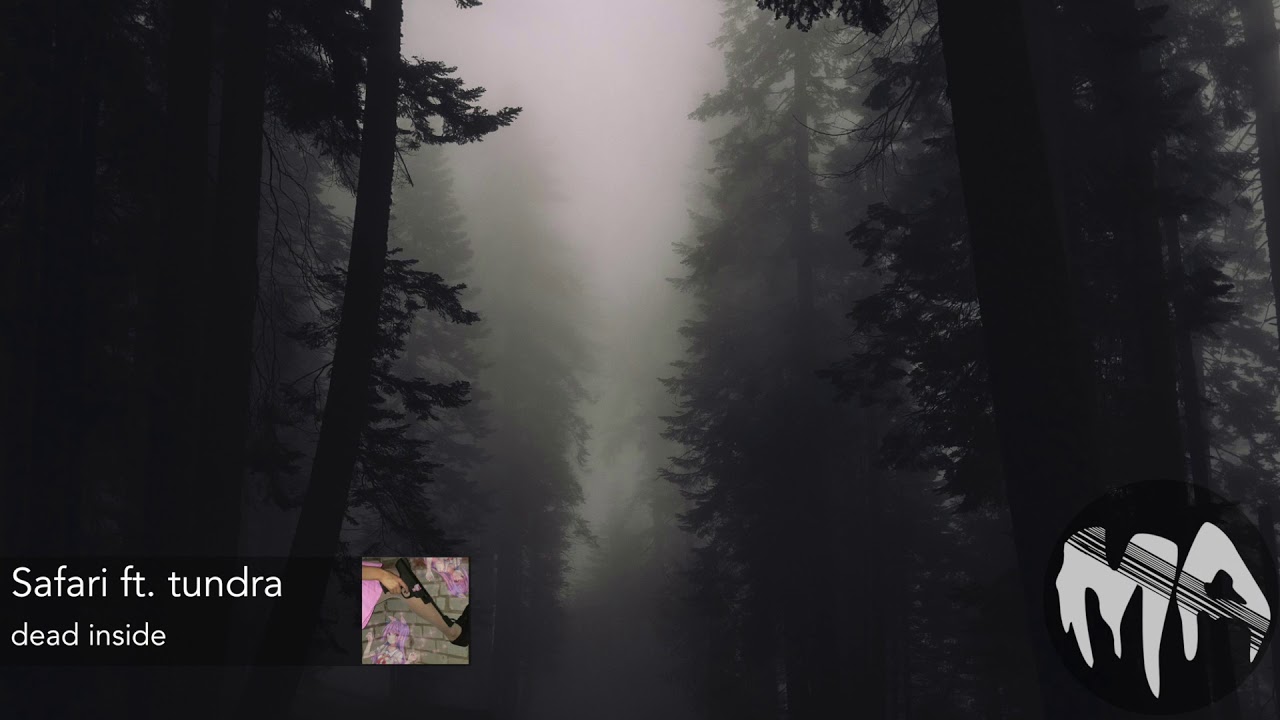 Safari (ft. tundra) - dead inside - YouTube