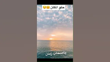 تامر حسني حلو المكان 