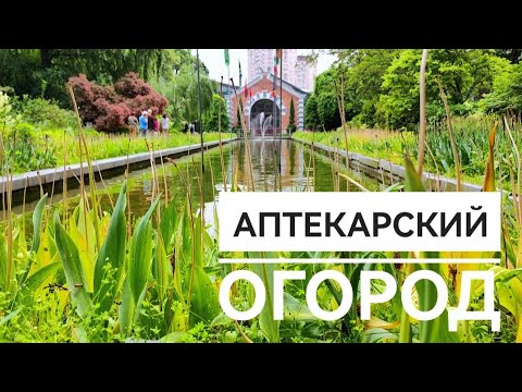 Зеленый оазис в центре Москвы - YouTube