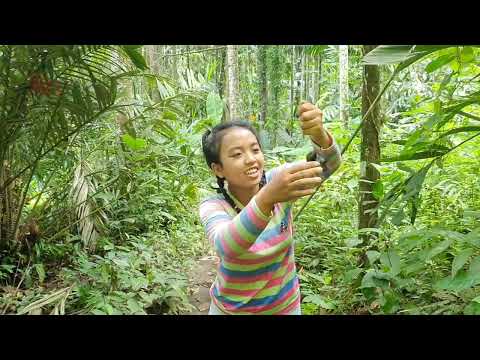 hunting louhan fish, fishing louhan fish in the swamp, grilling louhan fish _ off grid living