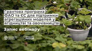 Грантова підтримка для агрегаційних моделей від ФАО та ЄС – запис вебінару