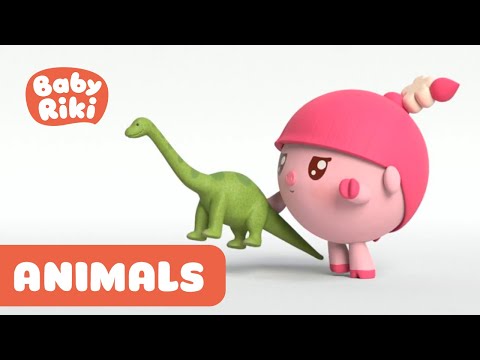 BabyRiki Episodes About Animals Cartoons For Kids 0