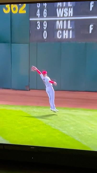 Late night finds… INSANE catch by hunter renfroe on the Angels😳🤯 #baseball #MLB #insane #sports