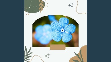 Remarkable Ice Baths