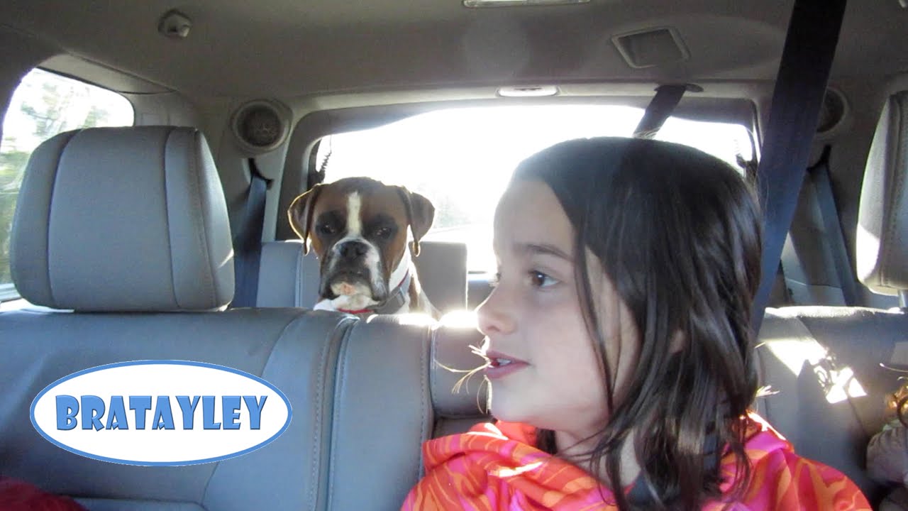 vlogs in spanish Boxers Go! (WK 196.5) | Bratayley