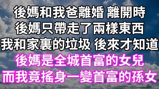 後媽和我爸離婚 離開時後媽只帶走了兩樣東西我和家裏的垃圾 後來才知道後媽是全城首富的女兒而我竟搖身一變首富的孫女#為人處世 #幸福人生#為人處世 #生活經驗 #情感故事#以房养老#婆媳故事