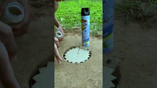 Easy Method Bird Trap - Creative Easy Quail Trap #shorts