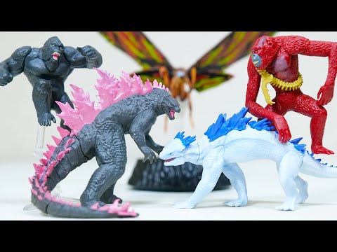 HG] Godzilla x Kong New Empire Review!! [Seamo Skaking