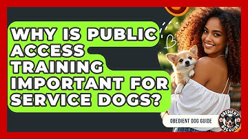 Why Is Public Access Training Important For Service Dogs? - Obedient Dog Guide