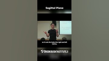 Sagittal Plane Lecture