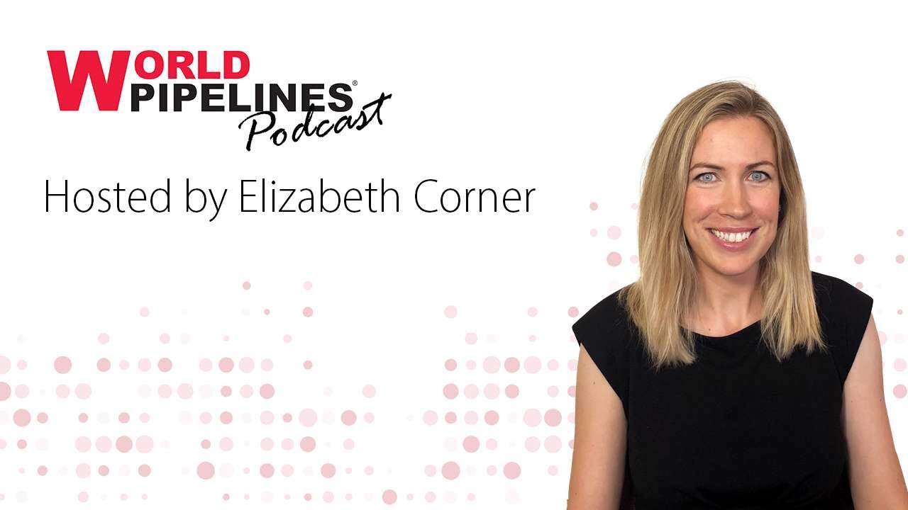 Inside the hydrogen compression problem