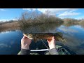 Exploring The Forgotten Ponds! Belly Boat Pike Fishing!