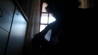 ssshhhiiittt! - держать это в себе(guitar cover)