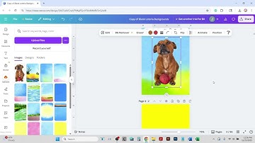 Blank Background Video