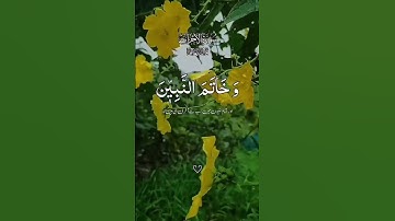 الشيخ سيد سعيد سورة الأحزاب