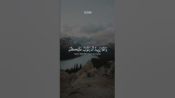 والله يريد أن يتوب عليكم | سورة النساء | محمود الحصري