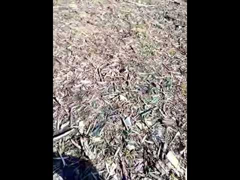 Гопота в шакальном качестве - YouTube