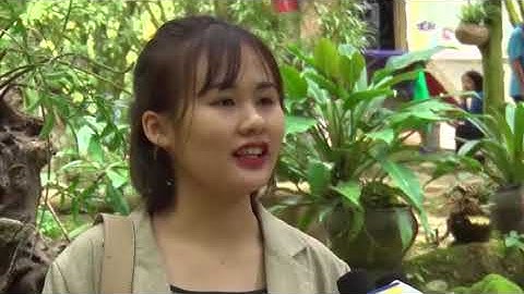 17-12 Bản tin Trong nước và Quốc tế . bắc kạn.  backantv.vn