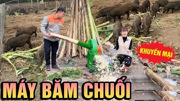 Ưu Đãi Hot Nhất Năm 2025 Cho Máy Băm Chuối C600 Băm Cây Chuối Chỉ Mất 5 - 7 Giây